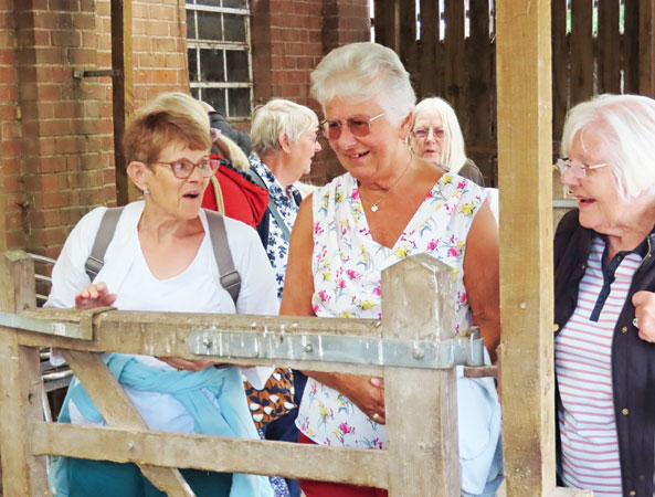 Three ladies look over a fence